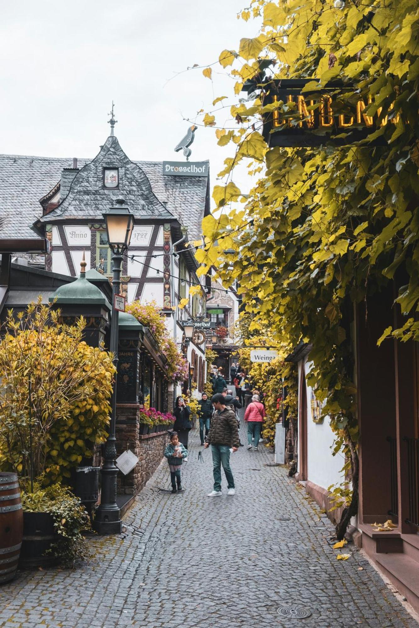 Hotel Zur Loreley - Garni Sankt Goar Exteriör bild